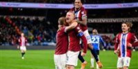 بعد غياب 28 عاما.. إيرلينج هالاند يقود النرويج لنهائيات كأس العالم برباعية مثيرة أمام إيطاليا