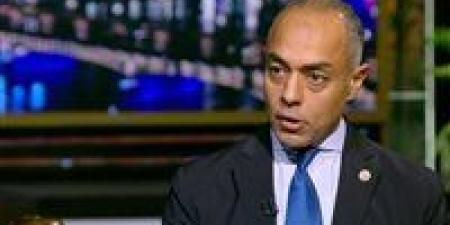 مدير الجهاز التنفيذي للهيئة الوطنية للانتخابات: هناك تقرير مبين به كافة الخروقات