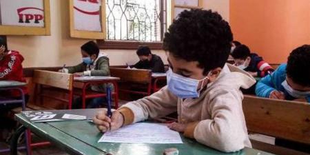 تحميل نتائج الصف السادس الابتدائي الدور الثالث 2025 PDF بالاسم والرقم الامتحاني