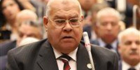 ناجي الشهابي: توجيه الرئيس السيسي بالتدقيق في انتخابات البرلمان يبعث الأمل في نفوس المرشحين والأحزاب