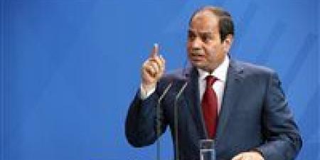 الرئيس السيسي: الوعي الانتخابي والعمل الجاد أساس تقدم مصر