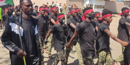 المقاومة الشعبية بسنجة تعزز جاهزيتها لدعم الجيش السوداني