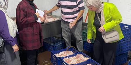 ضبط 5.4 طن دجاج وشاورما فاسدة خلال حملة تفتيشية في أجا