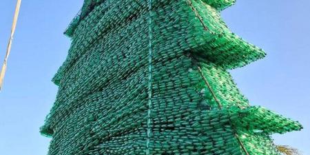 افتتاح أكبر أرزة في العالم قريبًا