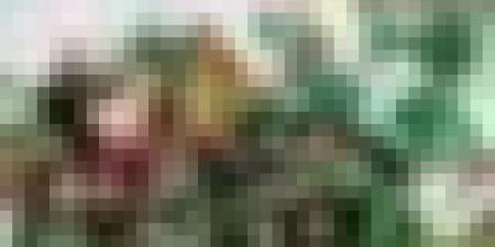 القنوات الناقلة وجدول مباريات المنتخب الوطني في كأس العرب 2025