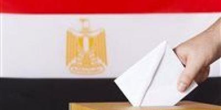 فتح باب الاقتراع في 13 دولة للمصريين بالخارج ضمن المرحلة الثانية لانتخابات مجلس النواب 2025