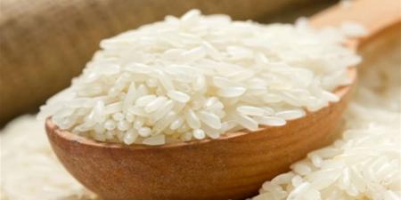 سعر طن الأرز والشعير اليوم 21 نوفمبر 2025 للمزارعين والموردين