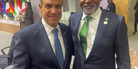 وزير الخارجية: مصر مستعدة لنقل خبراتها في مكافحة الإرهاب للكوادر العسكرية والأمنية النيجيرية