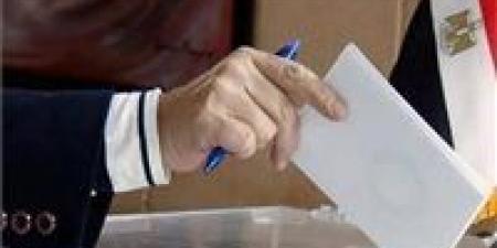 لليوم الثاني.. فتح باب الاقتراع للمصريين بالخارج في موريتانيا وبنجلاديش ضمن المرحلة الثانية لانتخابات مجلس النواب 2025