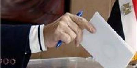 لليوم الثاني.. فتح باب الاقتراع في 13 دولة للمصريين بالخارج ضمن المرحلة الثانية لانتخابات النواب