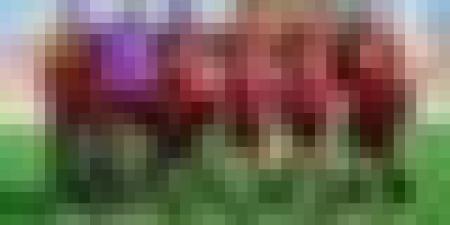 إتحاد العاصمة يجتاز سان بيدرو الإيفواري بثلاثية مقابل هدفين