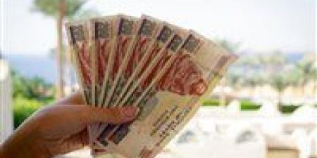 بعد تثبيت سعر الفائدة..شروط فتح حساب التوفير في البنك الأهلي المصري