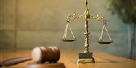 قرار جديد في محاكمة 10 متهمين بخلية لجان العمل النوعى