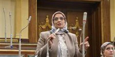 العسيلي تطالب برقابة ذكية على المدارس الدولية والحكومية بعد فاجعة "سيدز": حماية أطفالنا مسؤولية دولة كاملة