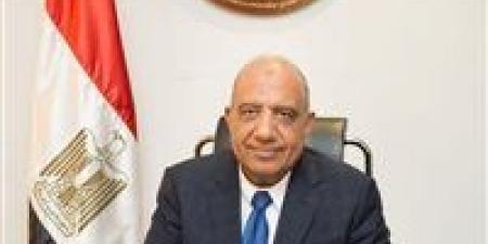 وزير الكهرباء: الانتخابات واجب وطني وحق دستوري