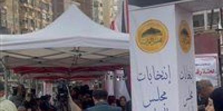 «نسبة مشاركة السيدات كبيرة»..إقبال لافت بالدقهلية في اليوم الأول للانتخابات