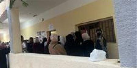 مجلس النواب 2025.. استمرار توافد الناخبين على لجان الاقتراع بالإسماعيلية