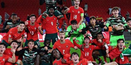 منتخب النمسا يواجه البرتغال في نهائي كأس العالم للناشئين تحت 17 عاماً.. وخروج إيطاليا والبرازيل
