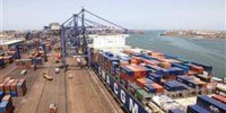 جمارك الإسكندرية تحبط محاولة تهريب 450 كيلو معسل داخل حاوية أثاث