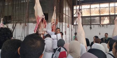 طلاب الطب البيطري في زيارة إلى مجزر البساتين الآلي بالقاهرة