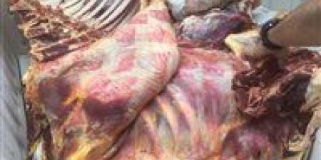 ضبط لحوم غير صالحة وتحرير 212 محضرًا خلال حملات رقابية مكثفة على الأسواق والمخابز خلال 4 أيام