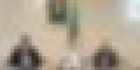 تسريع مشروع منجم الزنك تالا حمزة-واد أميزور لكسب رهان تنويع الإقتصاد الوطني