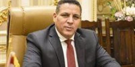 أحمد محسن: الإخوان تصعّد عداءها للدولة مستغلة الانتخابات