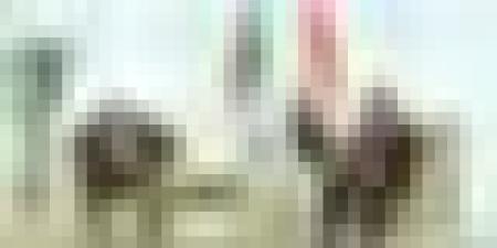 انطلاق أشغال الدورة الـ09 للجنة العليا المشتركة "الجزائرية – المصرية"