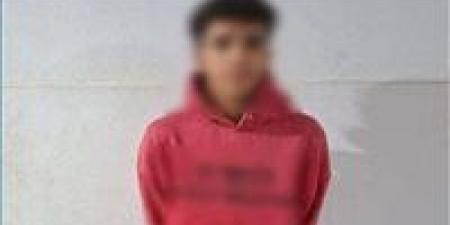 دفعها أرضا.. القبض على طالب تعدى بالضرب على سيدة بالمنوفية