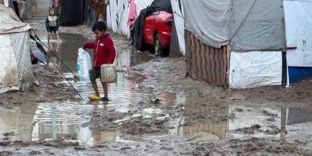 منظمة التحرير تدين جريمة الإعدام الميداني للاحتلال في جنين