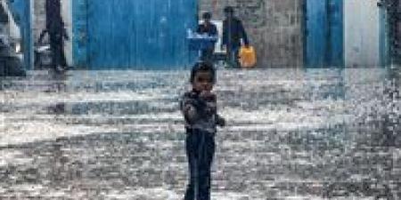 حالة الطقس غدا في مصر ..أمطار وصقيع وتحذيرات شديدة من الأرصاد