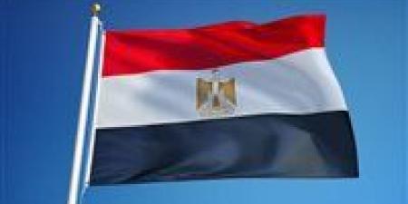 عاجل.. فوز مصر بمقعد في الجمعية العامة للمنظمة البحرية الدولية IMO