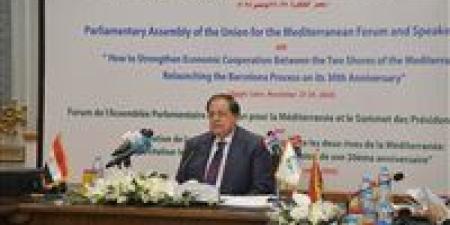 أبو العينين: القضية الفلسطينية جوهر الصراع في الشرق الأوسط والحروب لا تحل أي أزمة