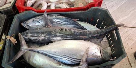 أسعار السمك اليوم الجمعة 28 نوفمبر 2025 في سوق العبور والمحلات