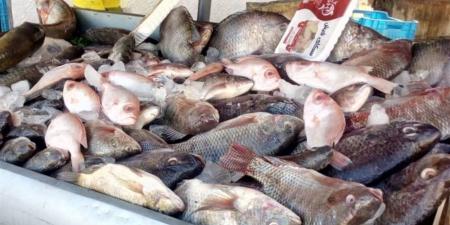 أسعار الأسماك الطازجة بأسواق الوادي الجديد اليوم السبت 29 نوفمبر