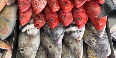 تحافظ على صحة القلب وتقوي المناعة.. 5 فوائد مذهلة للأسماك
