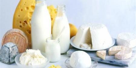 أسعار منتجات الألبان في الغربية اليوم السبت 29 نوفمبر 2025