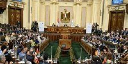 «رئيس وفد البرلمان الجزائري: تعزيز التعاون الاقتصادي والأمن الإقليمي في المتوسط مرتبط بالسلام وحل القضية الفلسطينية»