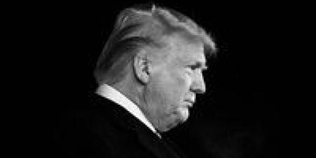 ترامب يفتح النار على الإخوان.. التنظيم الدولي تحت المجهر العالمي