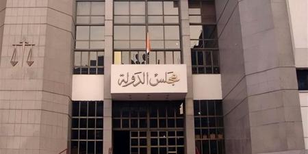 الإدارية العليا تبطل انتخابات دائرة حوش عيسى بالبحيرة وإعادة الانتخابات فيها