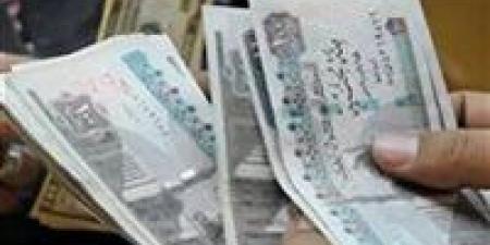 عاجل.. رفع الحدين الأدنى والأقصى للمعاش بداية من يناير 2026