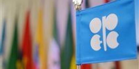 أوبك+ تثبّت إنتاج النفط حتى الربع الأول من 2026.. ما تأثير القرار