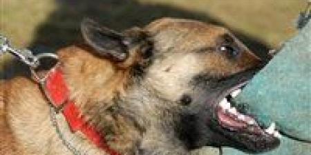 بسبب قطعة أرض.. ضبط المتهم بتهديد أسرة وترويعهم بـ كلب في الشرقية