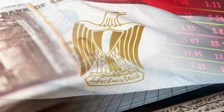 عودة مراجعات صندوق النقد الدولى: شهادة ثقة جديدة فى الاقتصاد المصرى