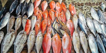 جميع الأنواع.. أسعار الأسماك في مصر اليوم الإثنين 1 ديسمبر 2025