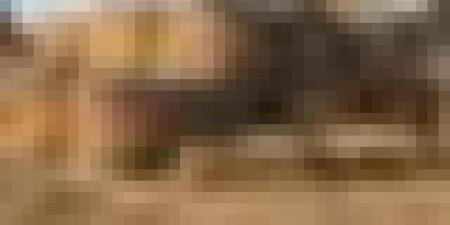 وزارة الفلاحة تكشف عن أسعار تنافسية جديدة لأعلاف المواشي لوضع حدّ للمضاربة غير المشروعة