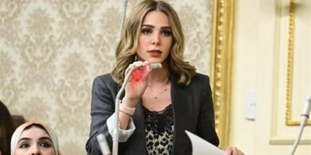 برلمانية تحذر من تزييف الوعي الانتخابي: المعلومات واضحة والدولة تطبّق القانون على الجميع