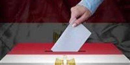 المصريون في أثينا يدلون بأصواتهن في جولة الإعادة لانتخابات المصريين بالخارج