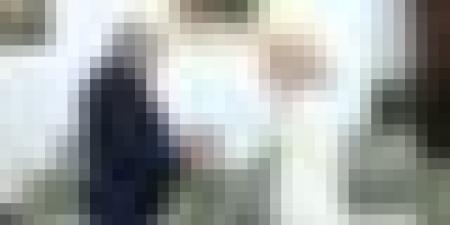 رئيس الجمهورية يستقبل سفيرة جمهورية صربيا