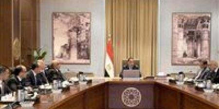 رئيس الوزراء يبحث إزالة معوقات الاستثمار وتعزيز ثقة المستثمرين في السوق المصرية